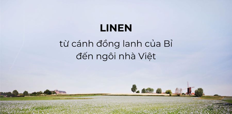 Linen - từ cánh đồng lanh của Bỉ đến ngôi nhà Việt