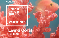 Living Coral - Màu sắc của năm 2019