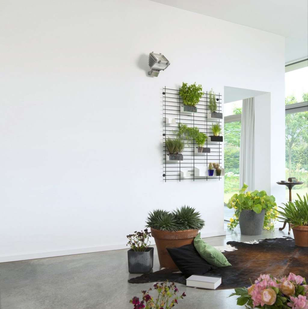 Bạn có thể sử dụng khung để sáng tạo ra một vườn cây cảnh nhỏ trên tường